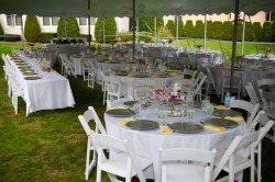 IMG 3288 1724945397 White Garden Chairs