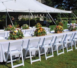 IMG 5008 1728517193 White Garden Chairs