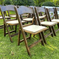 IMG 6576 1733886546 Resin Folding Chairs, Fruitwood